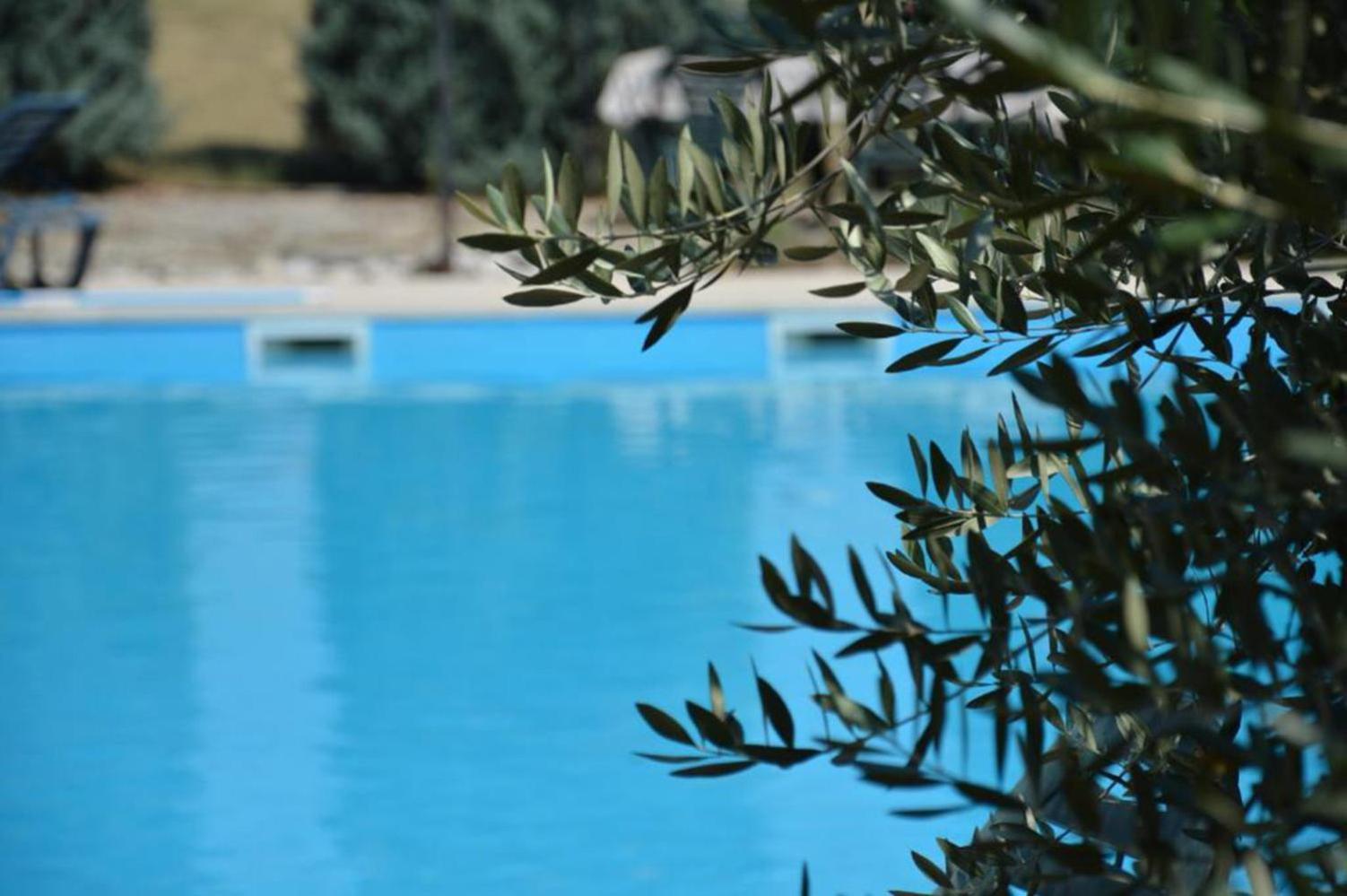 Nova Vas  Apartments Aurelia מראה חיצוני תמונה